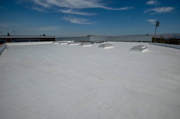 Best Skylights  in Lindsay, TX