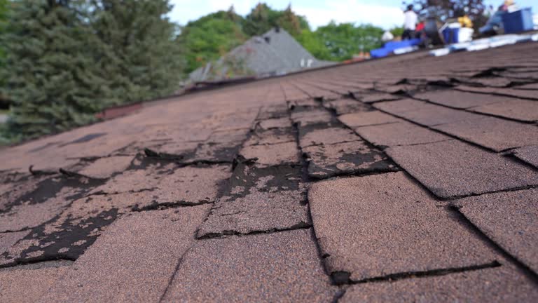 Best Roof Coating and Sealing  in Lindsay, TX