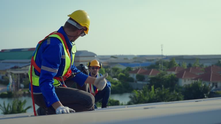 Best Asphalt Shingle Roofing  in Lindsay, TX