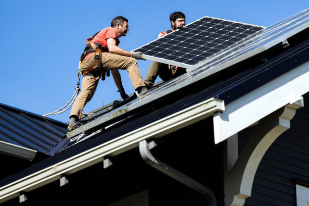 Best Roof Moss and Algae Removal  in Lindsay, TX